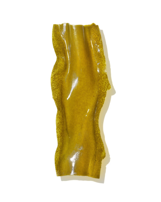 Mekabu Hydrating Shampoo – Salon Size 32oz | MASAMI