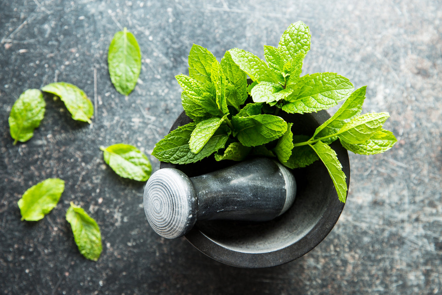 Mint leaves in a mortar and pestle on a dark surface