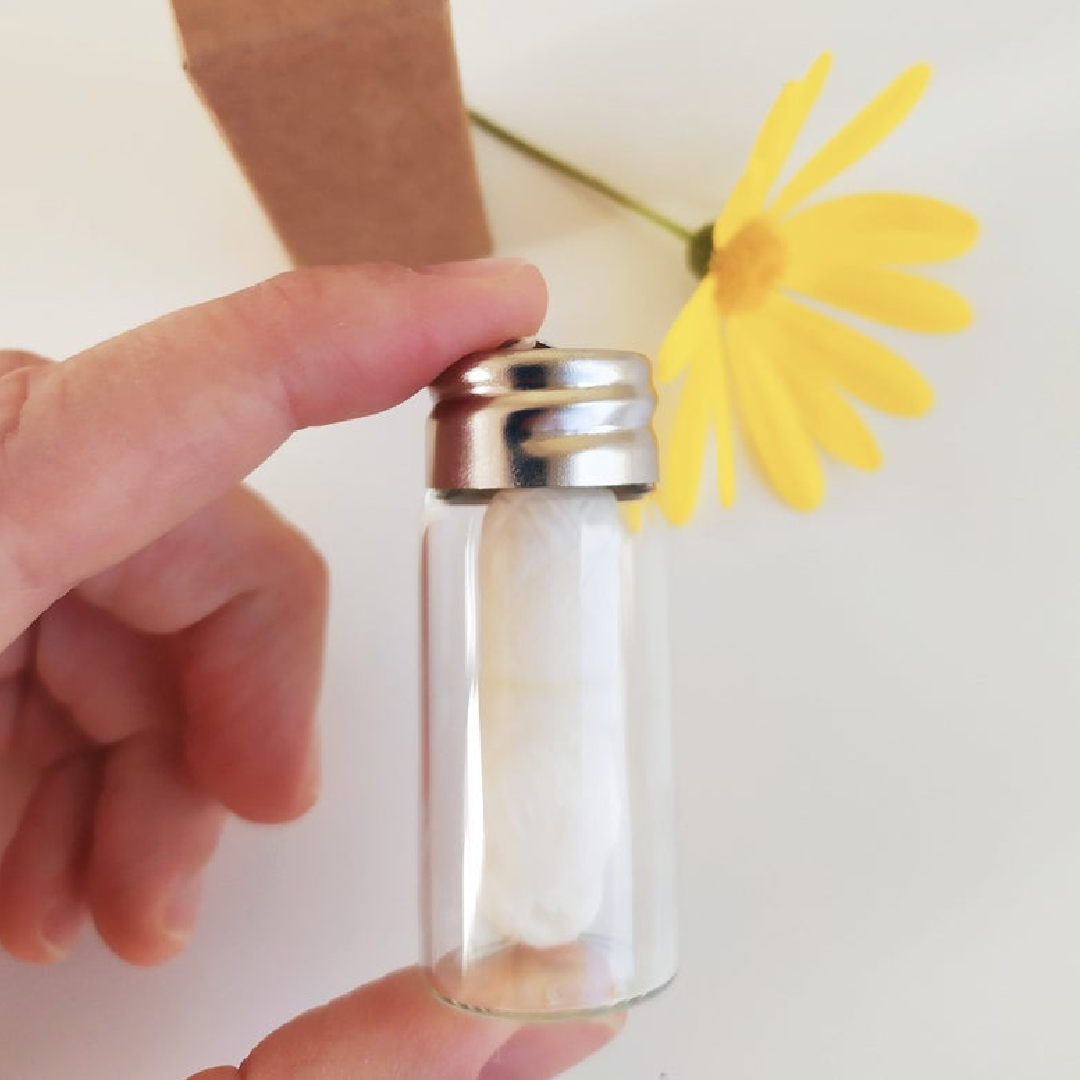 Charcoal Dental Floss in Glass Bottle – Plastic Free & Zero Waste