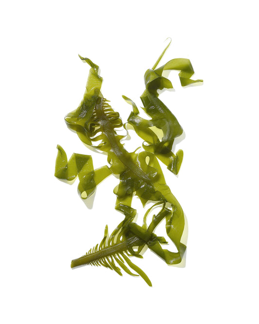 Mekabu Hydrating Salon Conditioner – 32 oz | MASAMI