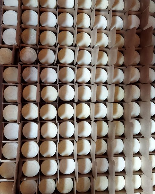 Organic Solid Shampoo Bar – Lavender & Mint for Dry Hair