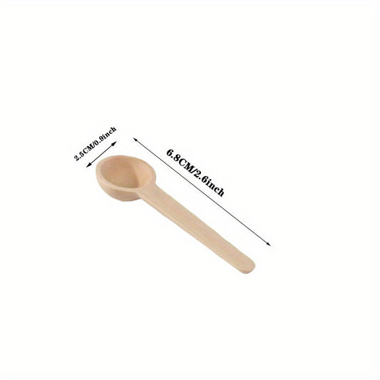 612 Mini Wooden Spoons Set for Spices  Coffee