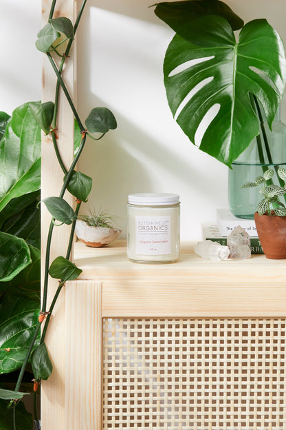 Natural SPF 45 Sunscreen with Non-Nano Zinc